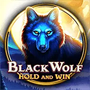 Trò chơi casino trực tuyến phổ biến